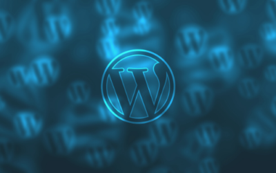 What is The Difference Between WordPress and Other Site Builders?