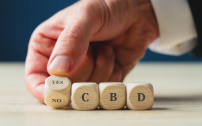 Web Design and Digital Marketing for the CBD Industry – What You Need to Consider